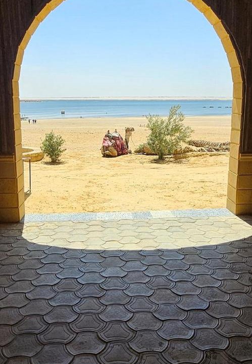Photo of Others in Al Fayoum