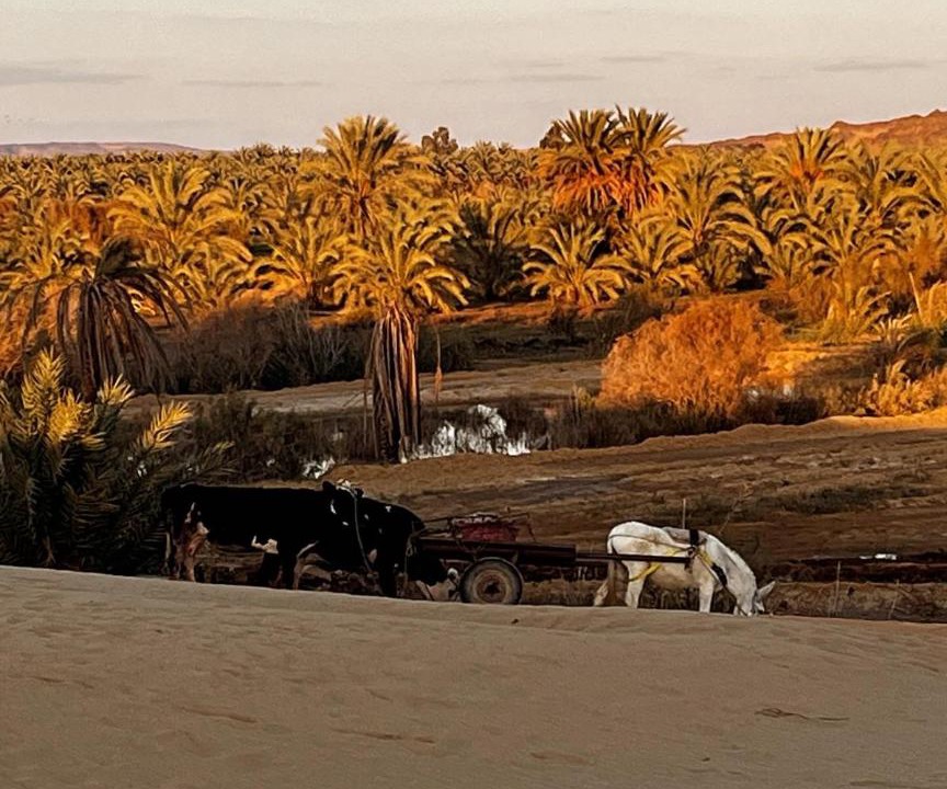 Photo of Others in Bawati