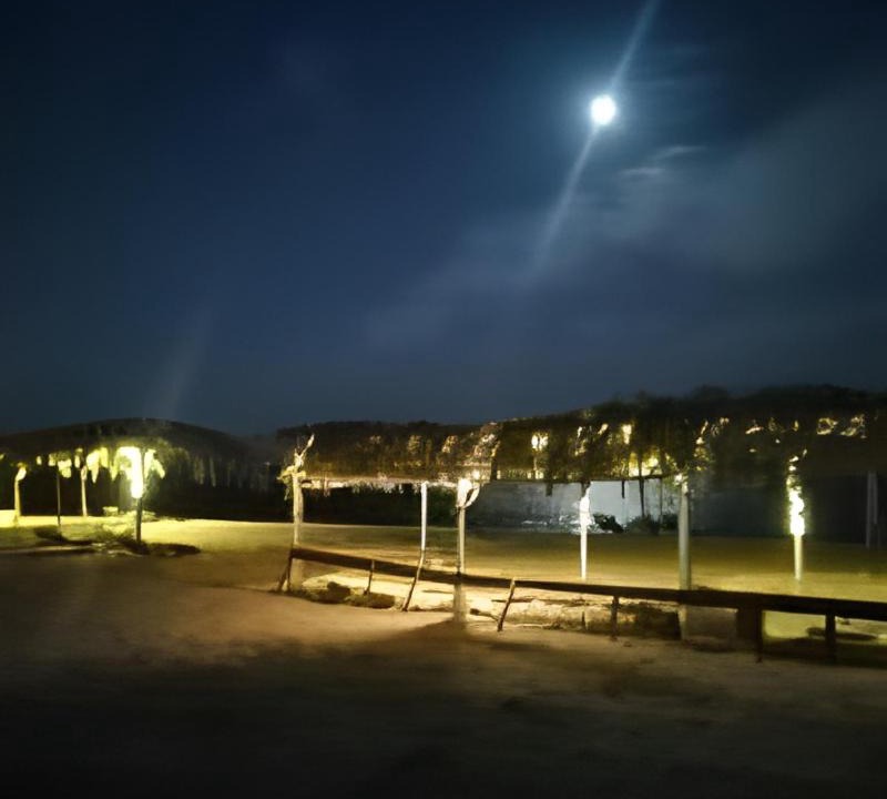Photo of Others in Nuweiba