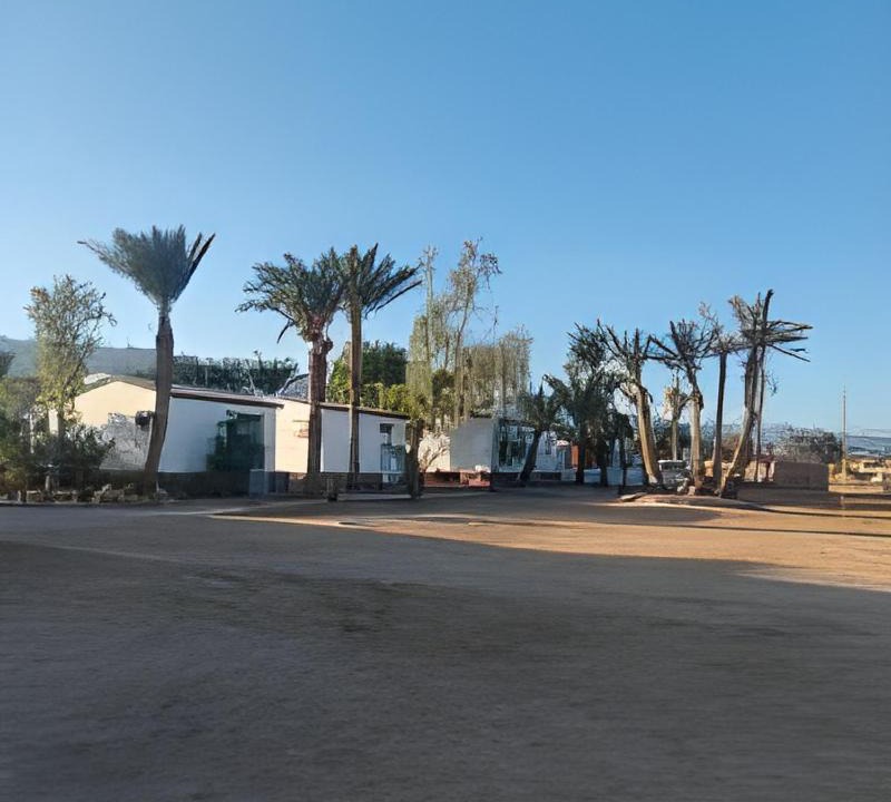 Photo of Others in Nuweiba