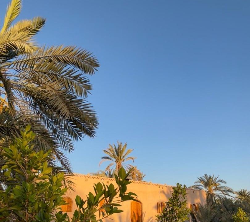 Photo of Others in Siwa
