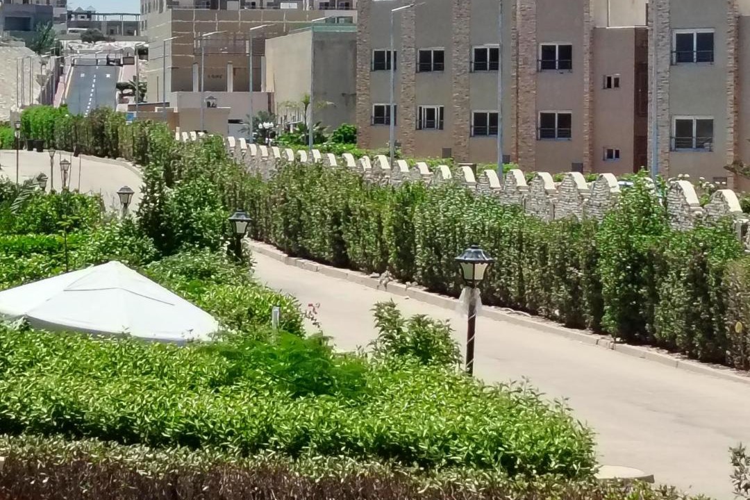 Photo of Others in Marina El Alamein