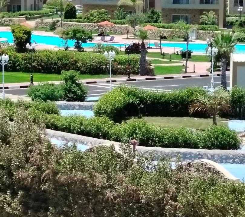 Photo of Others in Marina El Alamein