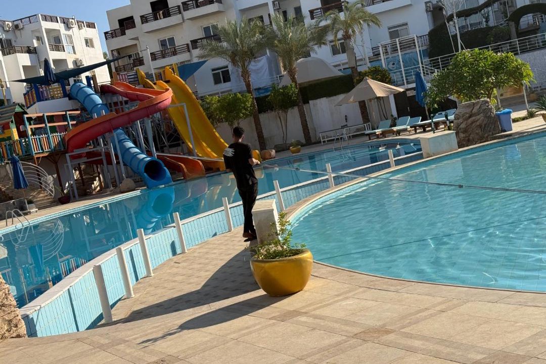 Photo of Others in Qetaa Maryout