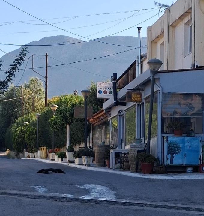 Photo of Others in Vlachiana