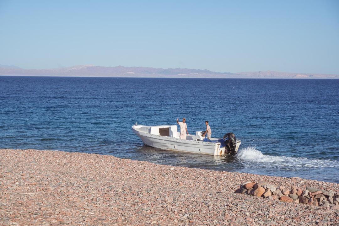 Photo of Others in Dahab