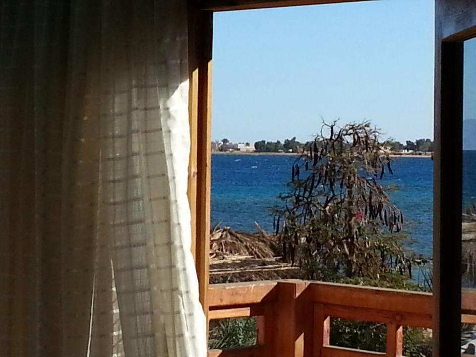 Photo of Others in Nuweiba