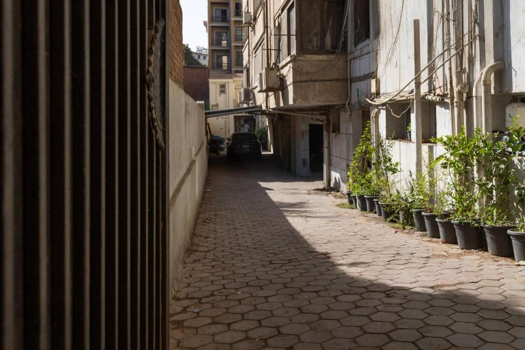 Photo of Others in Zamalek