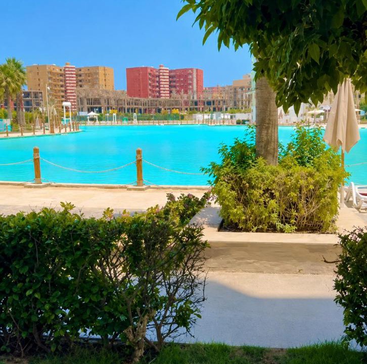 Photo of Others in El Alamein