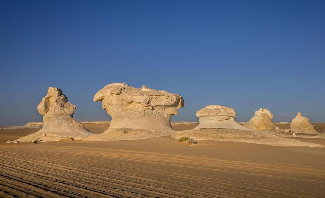 Photo of Others in Bawati