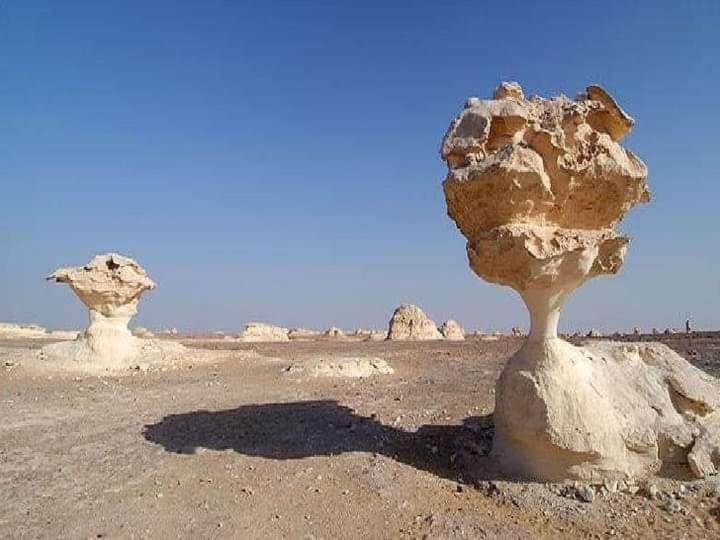 Photo of Others in Bawati