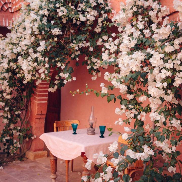 Photo of Others in Siwa