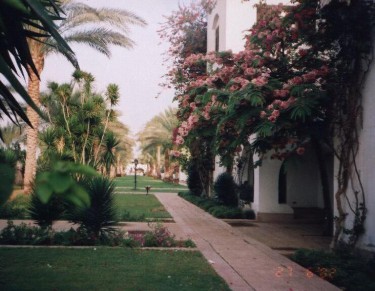 Photo of Others in Fayed
