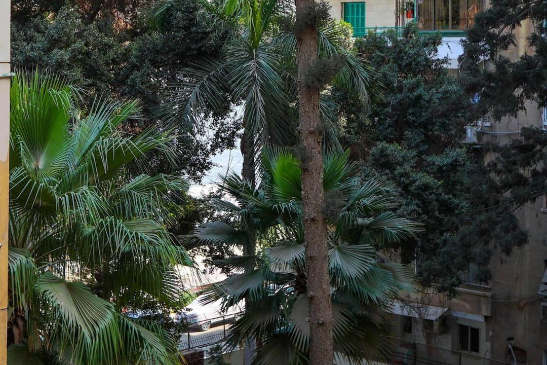 Photo of Others in Zamalek