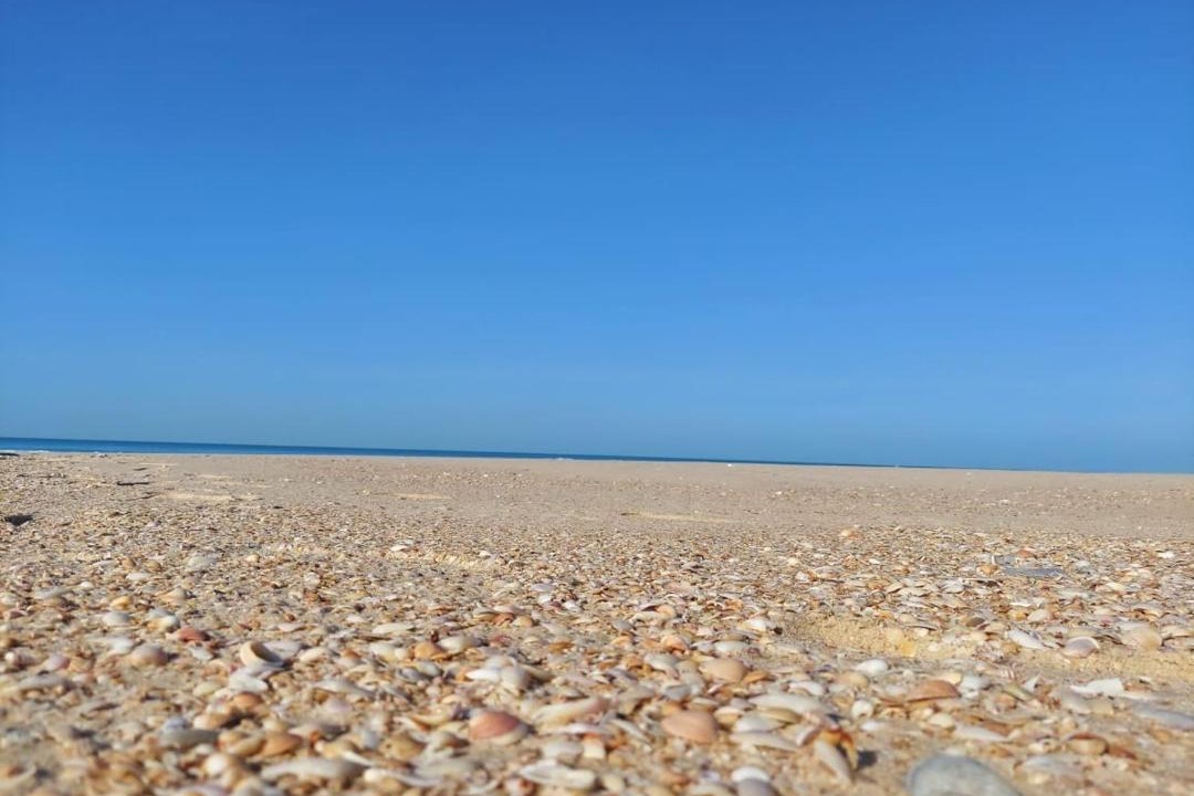 Photo of Others in Al Arish