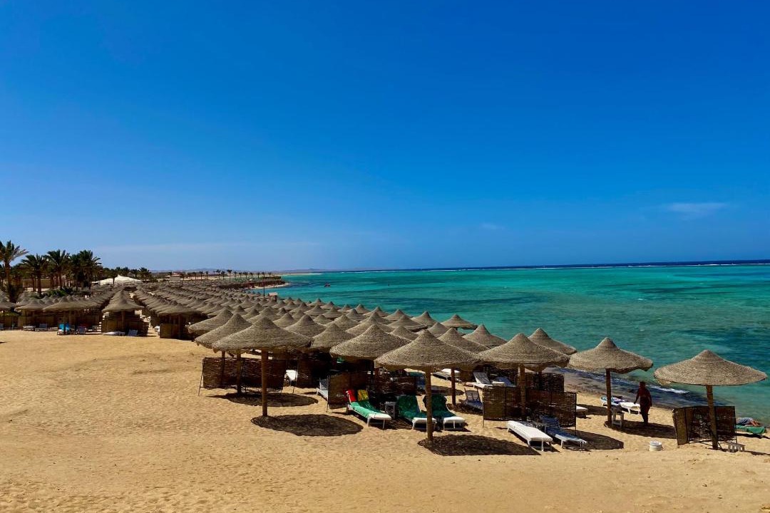 Photo of Others in Marsa Alam