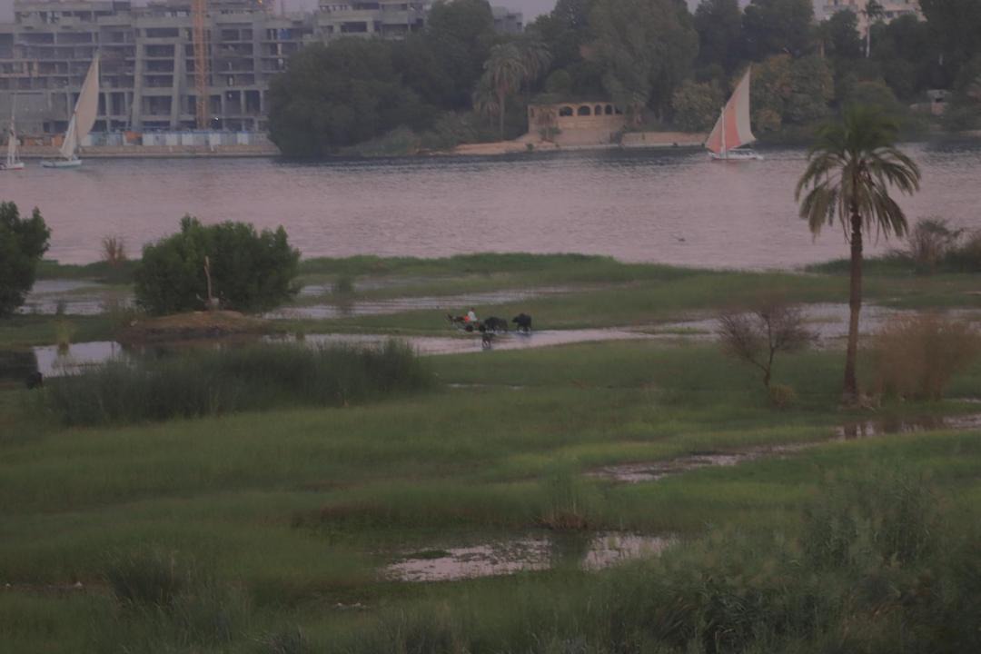Photo of Others in Luxor