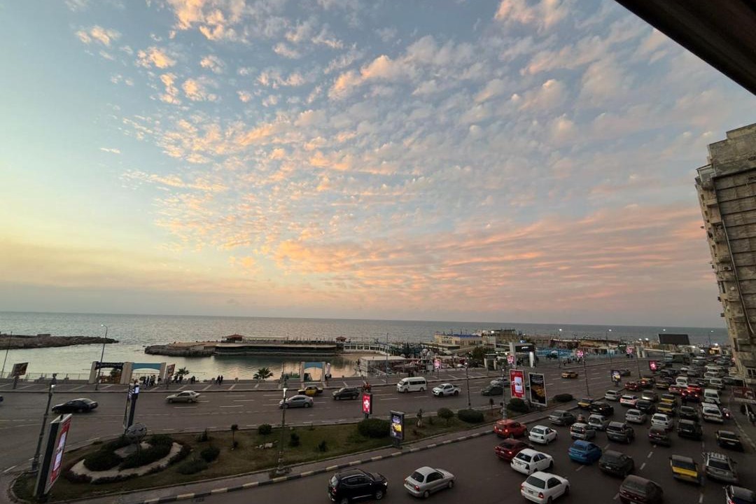 Photo of Others in Alexandria