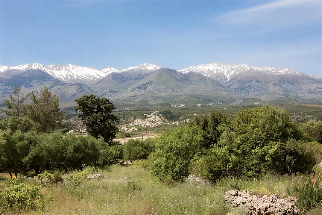 Photo of Others in Makhairoi