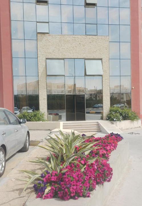 Photo of Others in Al Mamsha El Seyahi