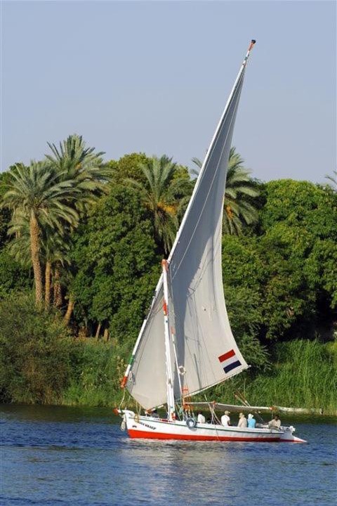 Photo of Others in Aswan