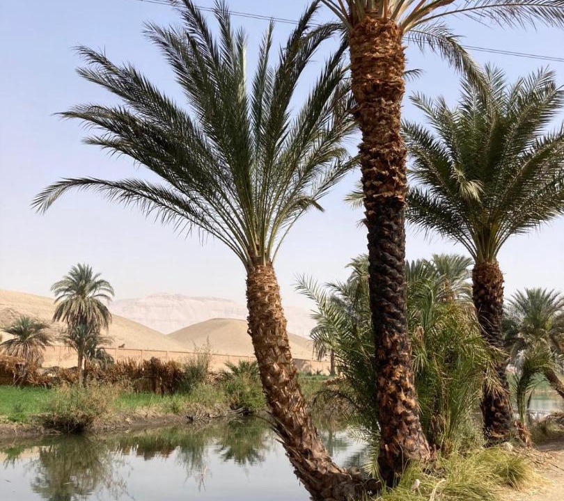 Photo of Others in Luxor