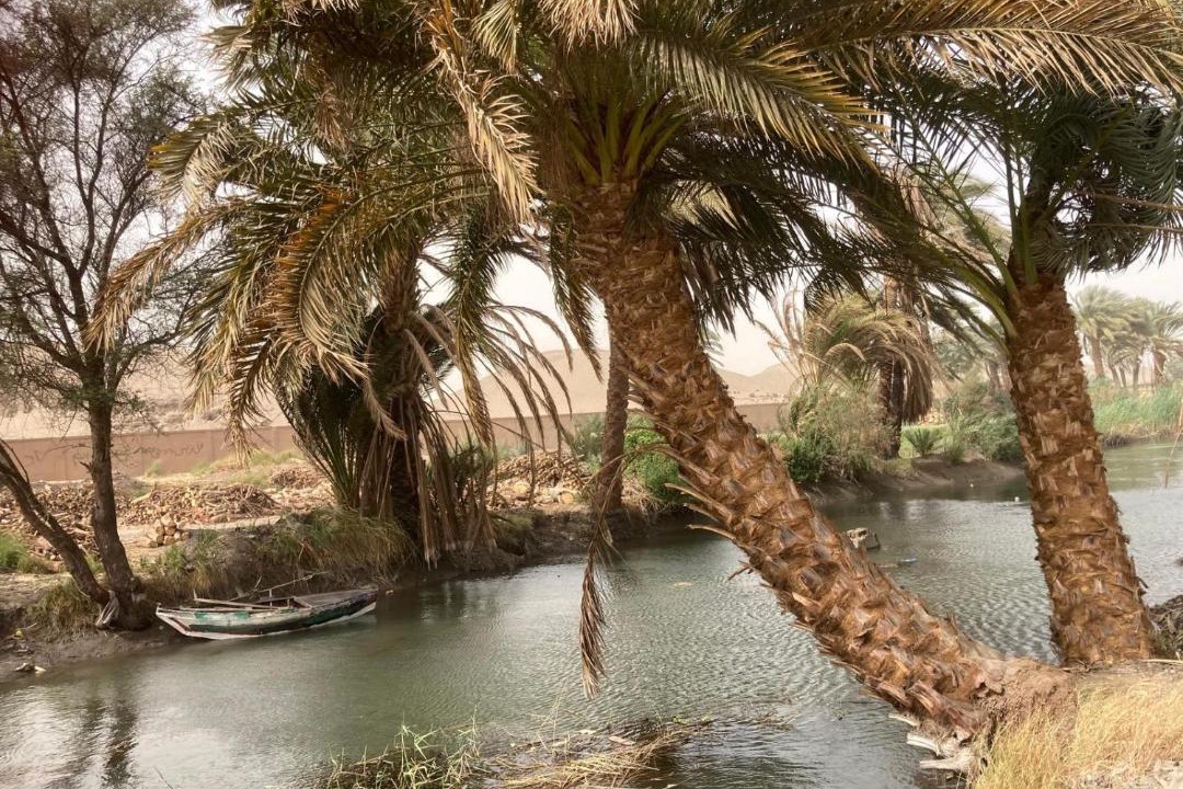 Photo of Others in Luxor