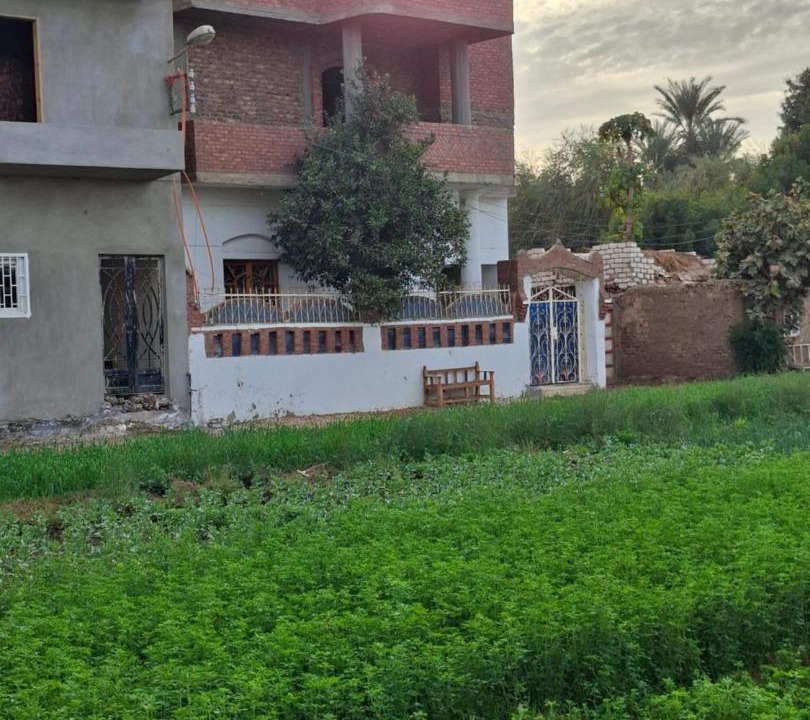 Photo of Others in Luxor