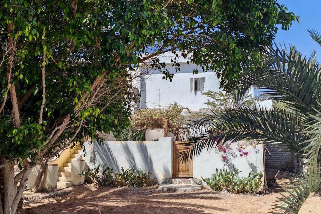 Photo of Others in Dahab