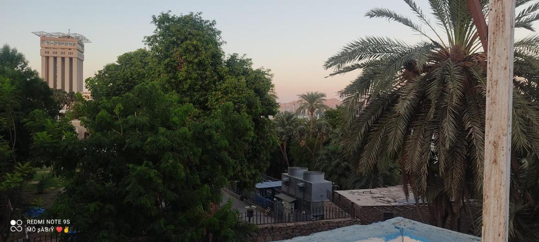 Photo of Others in Aswan