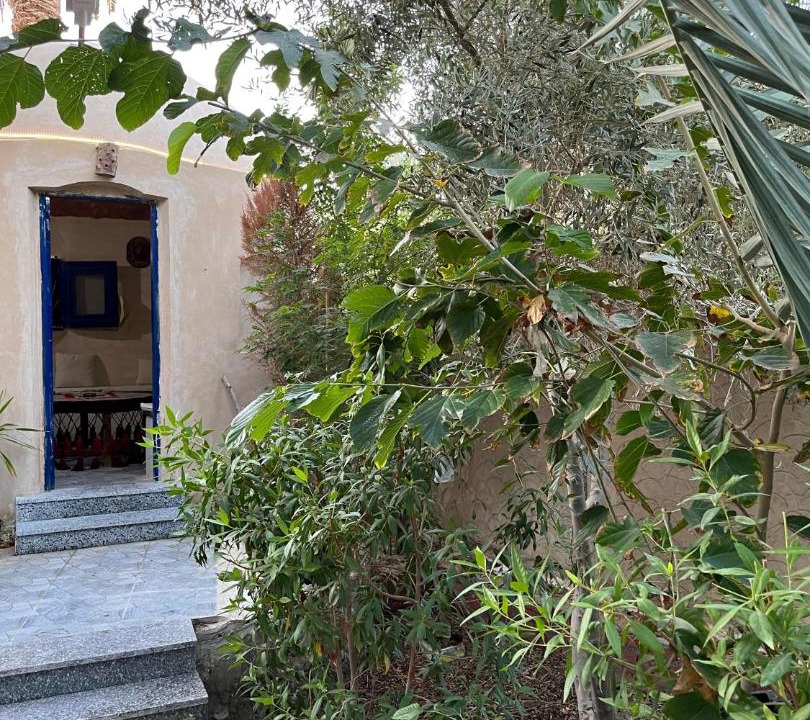 Photo of Others in Siwa