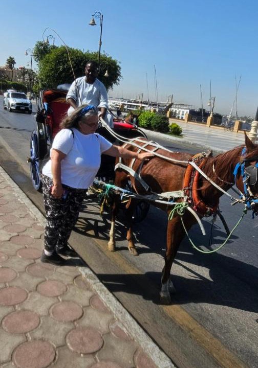 Photo of Others in Luxor