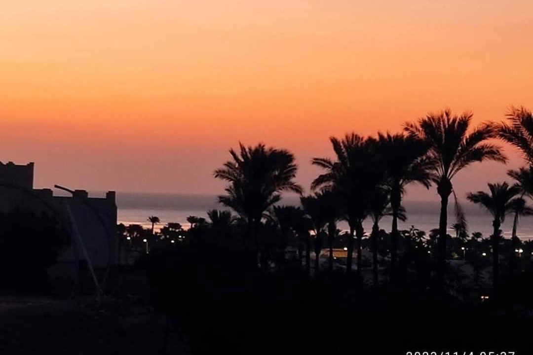 Photo of Others in Sharm El Sheikh