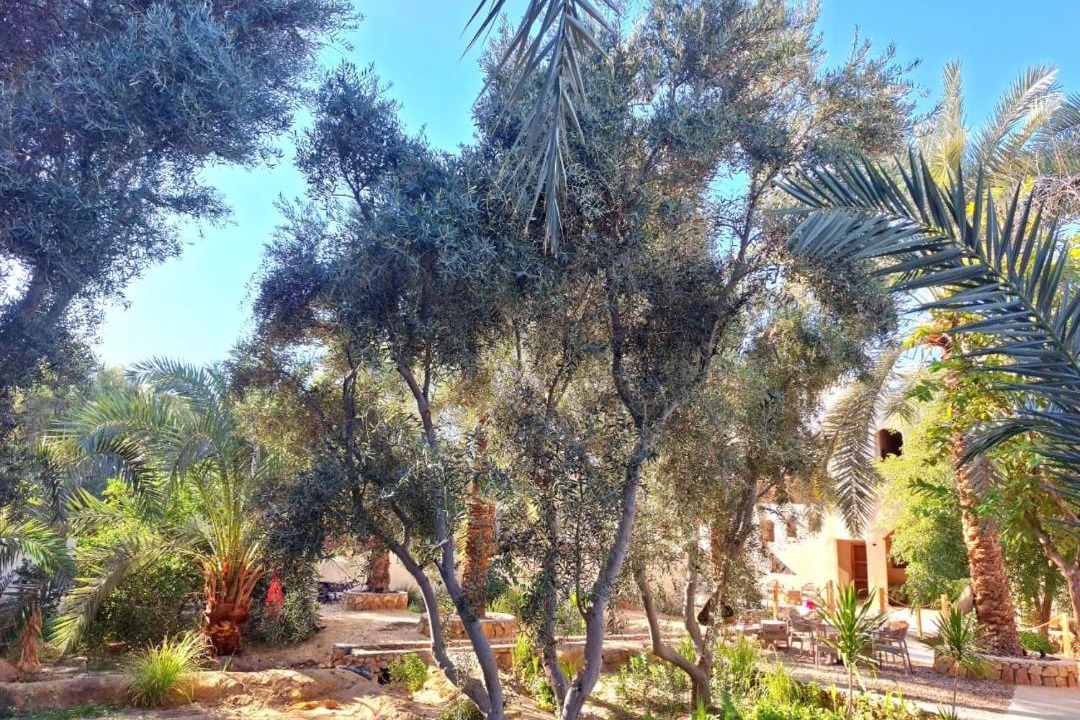 Photo of Others in Siwa