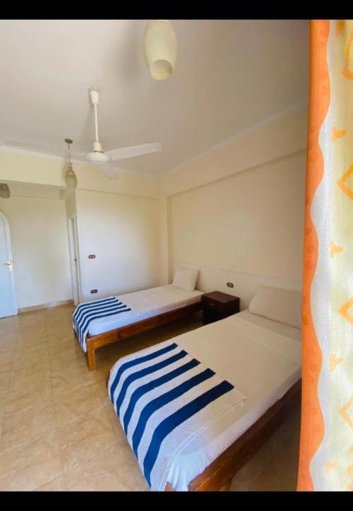 Photo of Others in Luxor