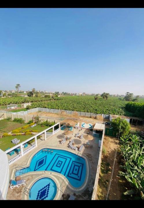 Photo of Others in Luxor