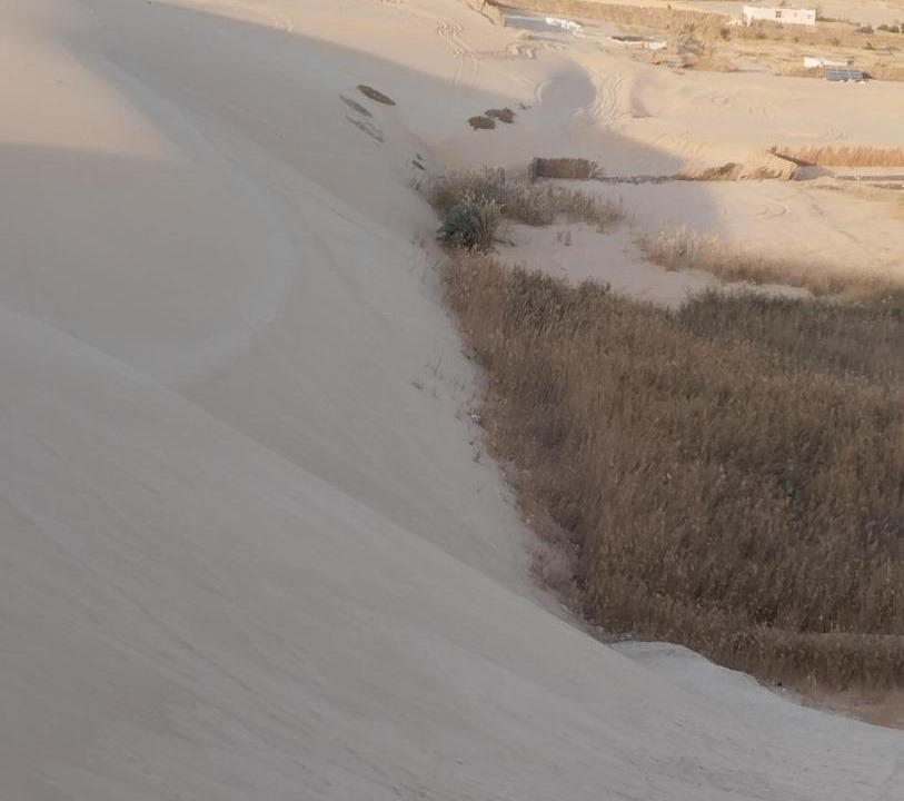 Photo of Others in Siwa