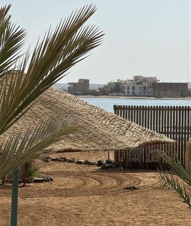 Photo of Others in Safaga