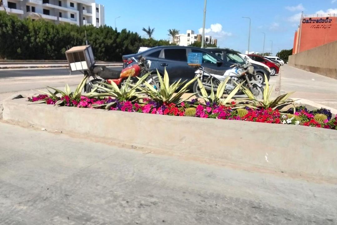 Photo of Others in Al Mamsha El Seyahi