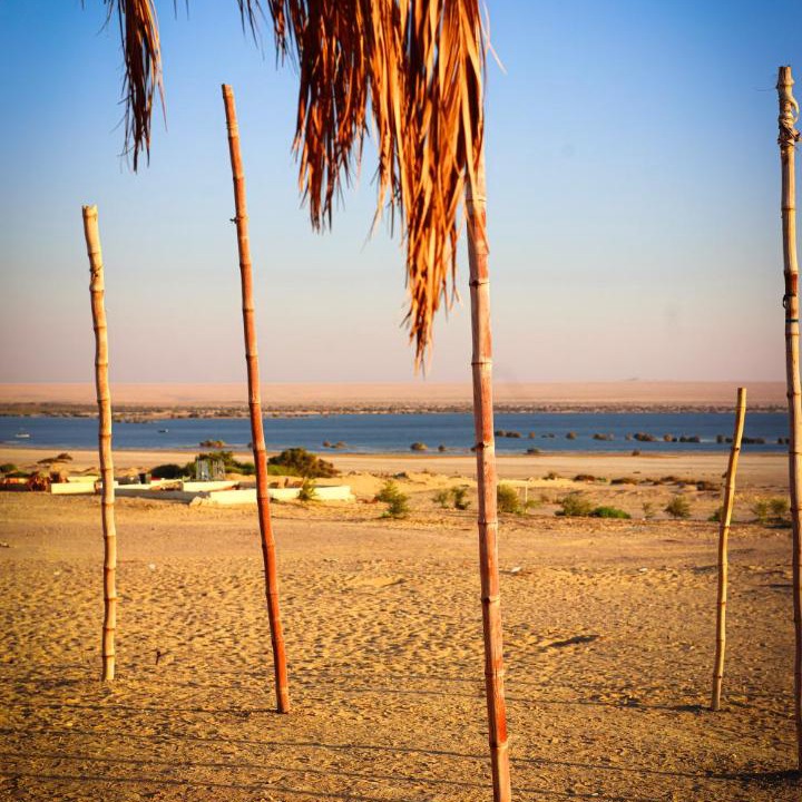 Photo of Others in Al Fayoum