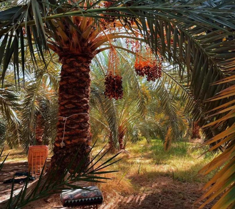 Photo of Others in Siwa
