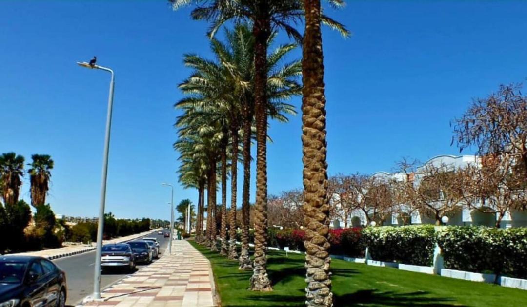 Photo of Others in Ras Nasrani