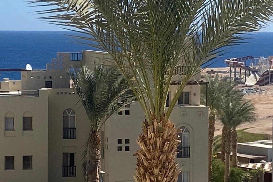 Photo of Others in Sahl Hasheeh