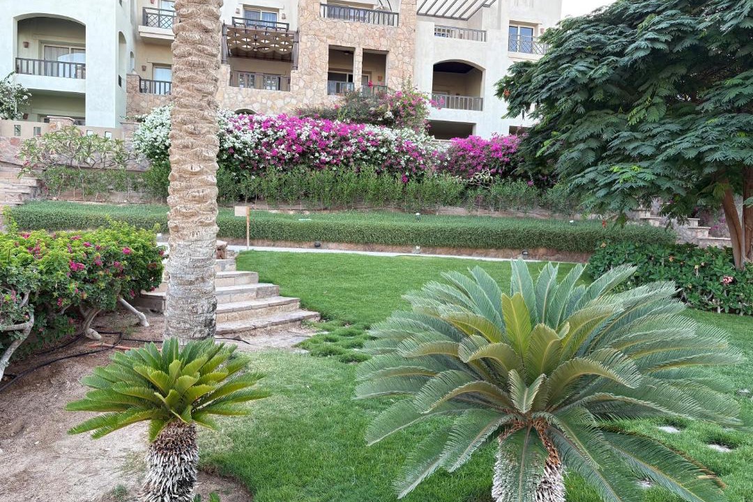 Photo of Others in Sahl Hasheeh