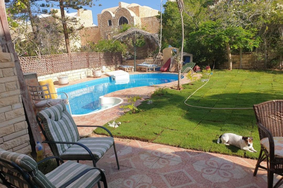 Photo of Others in Marina El Alamein