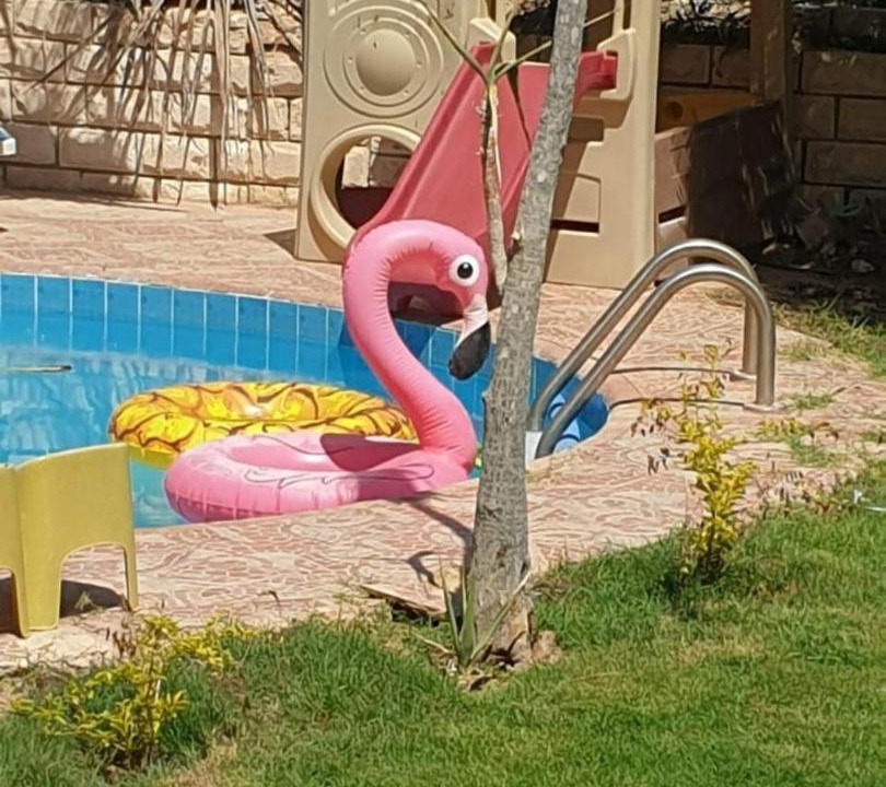 Photo of Others in Marina El Alamein