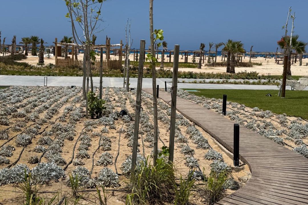 Photo of Others in Alexandria - Mediterranean Coast