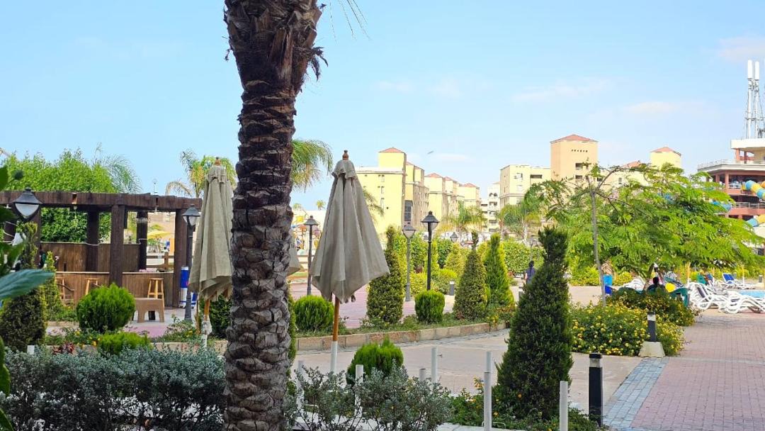 Photo of Others in Borg el Arab