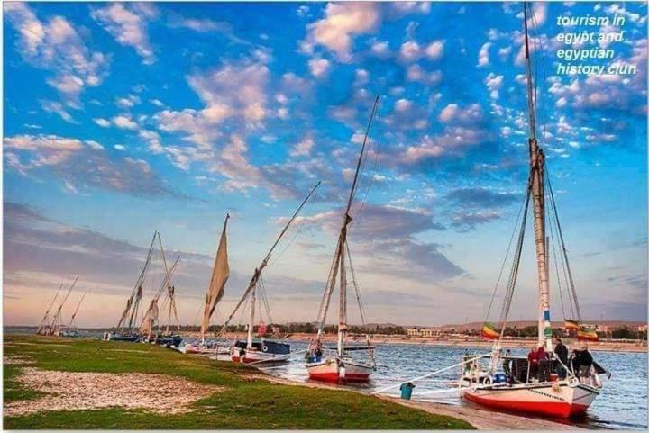 Photo of Others in Aswan