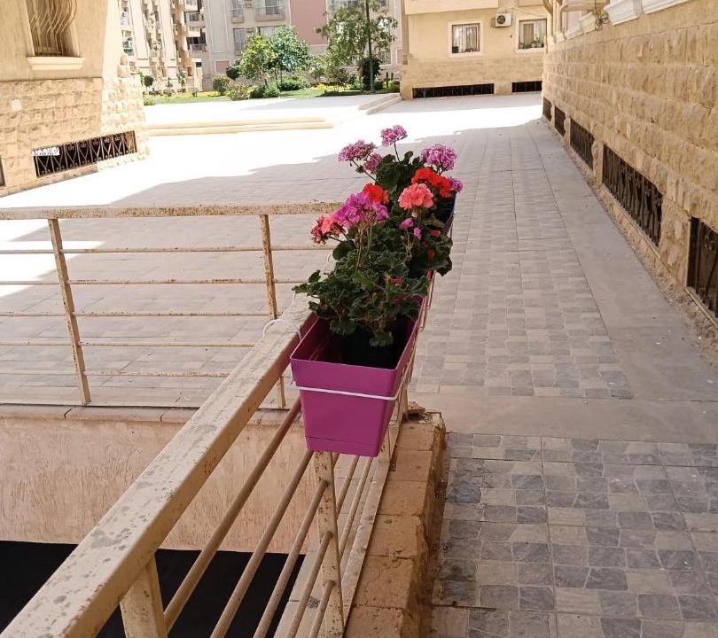 Photo of Others in New Cairo